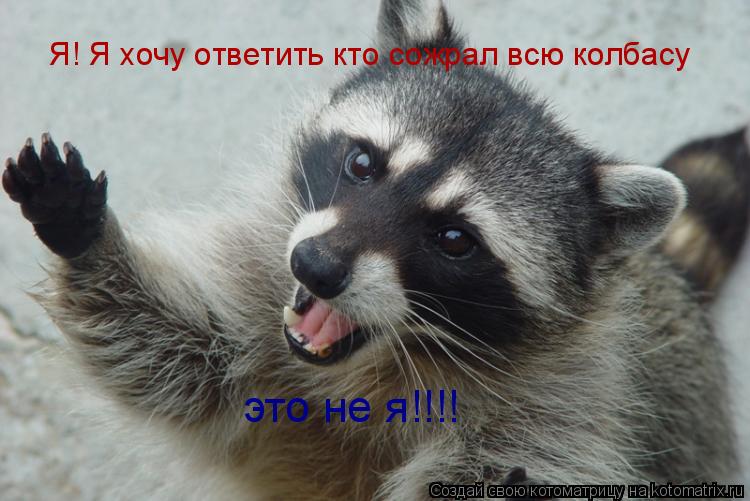 Я! Я хочу ответить кто сожрал всю колбасу это не я!!!!... Котоматрица: Я! Я хочу ответить кто сожрал всю колбасу это не я!!!!