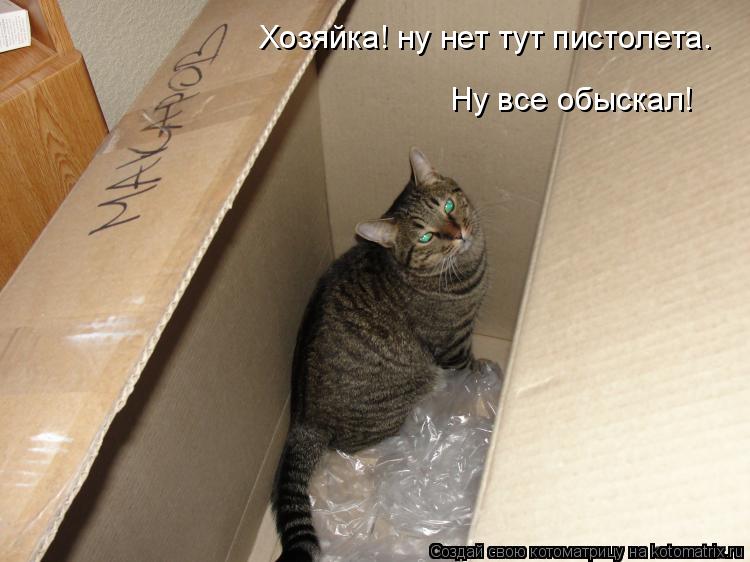 Хозяйка! ну нет тут пистолета. Ну все обыскал!... Котоматрица: Хозяйка! ну нет тут пистолета. Ну все обыскал!