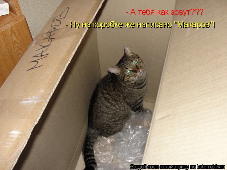 - А тебя как зовут??? - Ну на коробке же написано "Макаров"!... Котоматрица: - А тебя как зовут??? - Ну на коробке же написано "Макаров"!