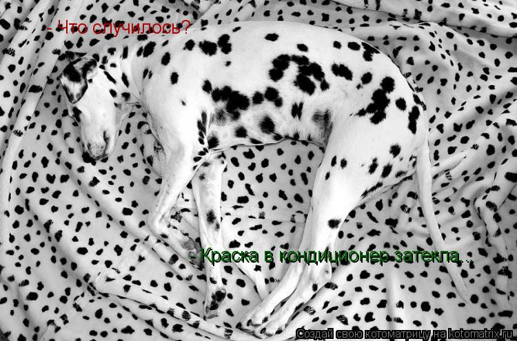 - Что случилось? - Краска в кондиционер затекла...... Котоматрица: - Что случилось? - Краска в кондиционер затекла...