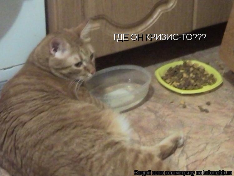 ГДЕ ОН КРИЗИС-ТО???... Котоматрица: ГДЕ ОН КРИЗИС-ТО???