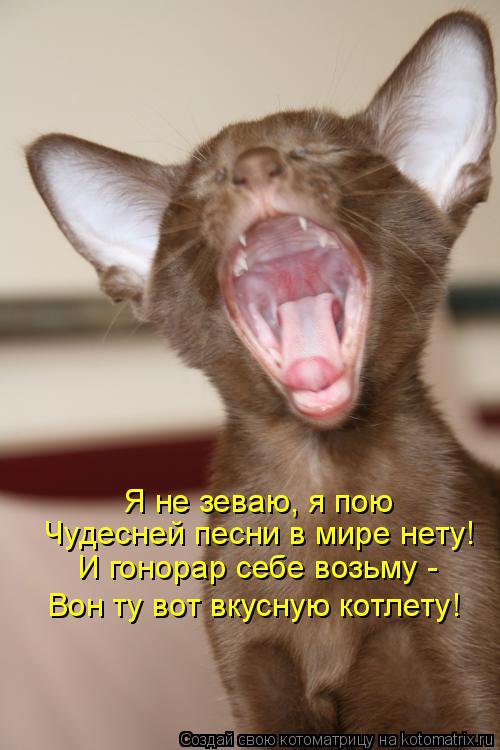 Я не зеваю, я пою Чудесней песни в мире нету! И гонорар себе возьму - Вон ту вот вкусную котлету!... Котоматрица: Я не зеваю, я пою Чудесней песни в мире нету! И гонорар себе возьму - Вон ту вот вкусную котлету!