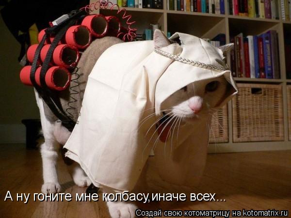 А ну гоните мне колбасу,иначе всех...... Котоматрица: А ну гоните мне колбасу,иначе всех...