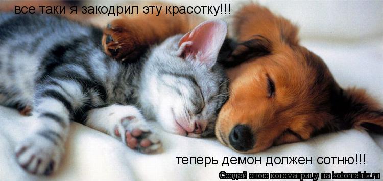 все таки я закодрил эту красотку!!! теперь демон должен сотню!!!... Котоматрица: все таки я закодрил эту красотку!!! теперь демон должен сотню!!!
