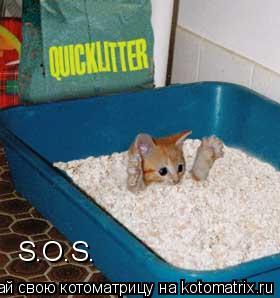 Котоматрица: S.O.S.