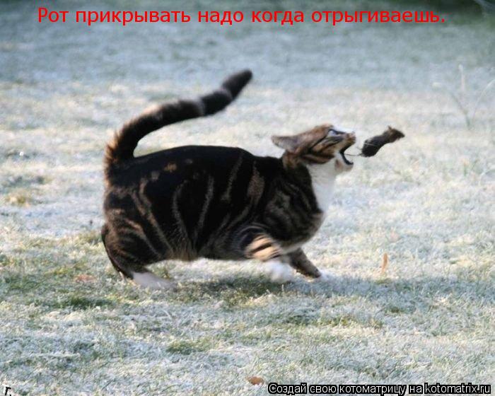 Котоматрица: Рот прикрывать надо когда отрыгиваешь.