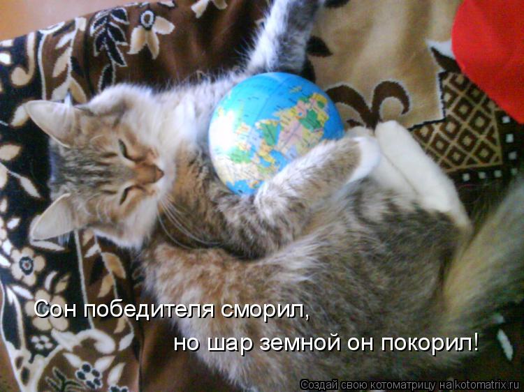 Котоматрица: Сон победителя сморил, но шар земной он покорил!