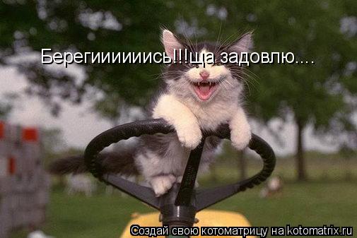 Котоматрица: Берегиииииись!!!ща задовлю....