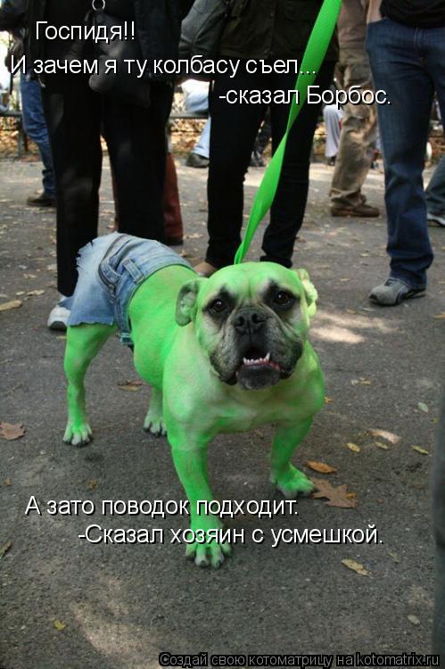 Котоматрица: Госпидя!! И зачем я ту колбасу съел... -сказал Борбос. А зато поводок подходит. -Сказал хозяин с усмешкой.