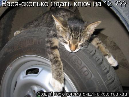 Котоматрица: Вася-сколько ждать ключ на 12 ???