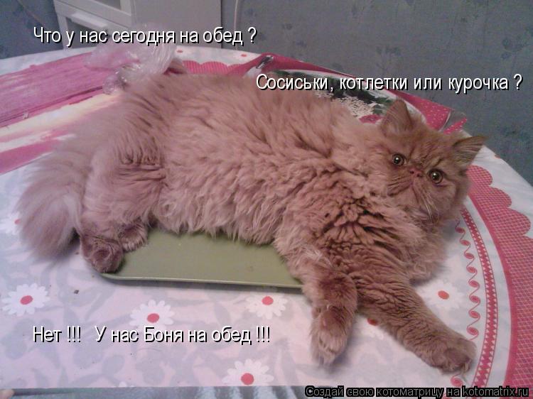 Что у нас сегодня на обед ? Сосиськи, котлетки или курочка ? Нет !!! У нас Боня на обед !!!... Котоматрица: Что у нас сегодня на обед ? Сосиськи, котлетки или курочка ? Нет !!! У нас Боня на обед !!!