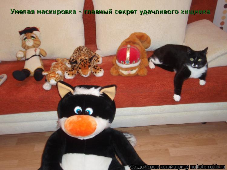 Умелая маскировка - главный секрет удачливого хищника... Котоматрица: Умелая маскировка - главный секрет удачливого хищника