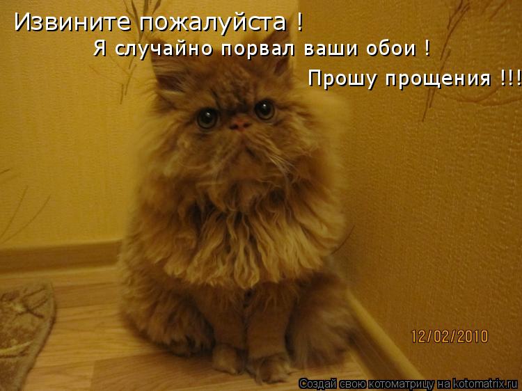 Котоматрица: Извините пожалуйста ! Я случайно порвал ваши обои ! Прошу прощения !!!
