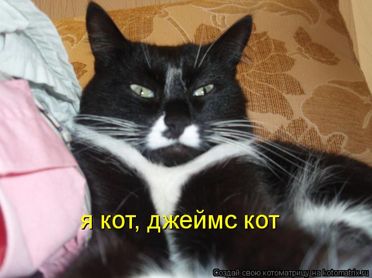 Котоматрица: я кот, джеймс кот
