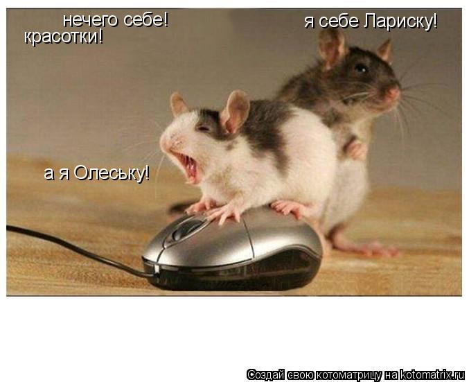 Котоматрица: нечего себе! красотки! я себе Лариску! а я Олеську!