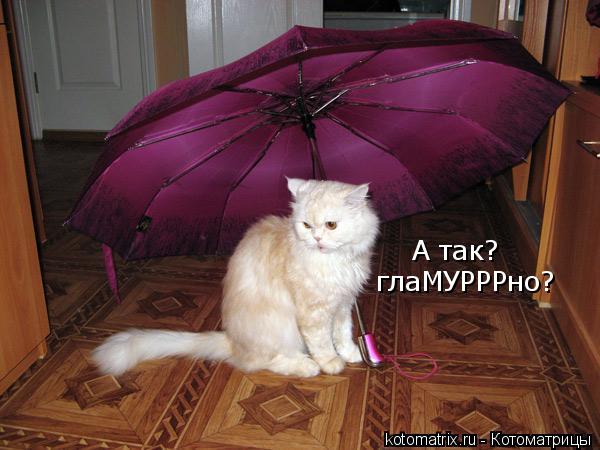 Котоматрица: А так?  глаМУРРРно?