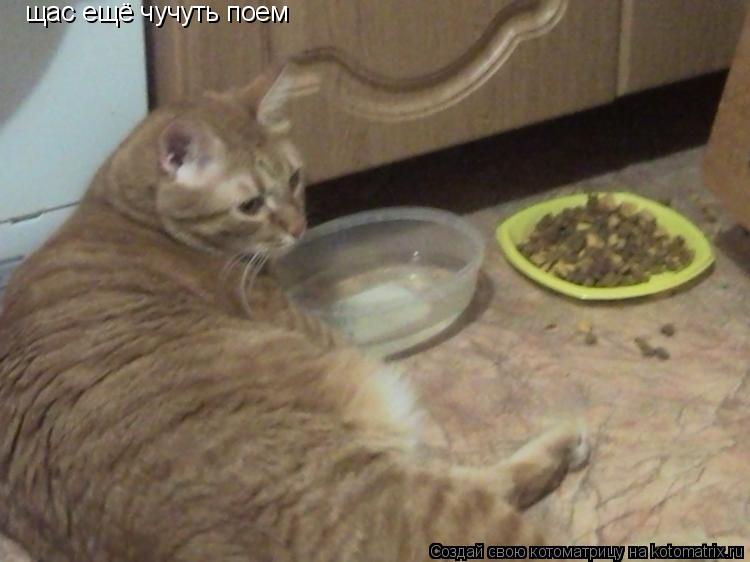 Котоматрица: щас ещё чучуть поем