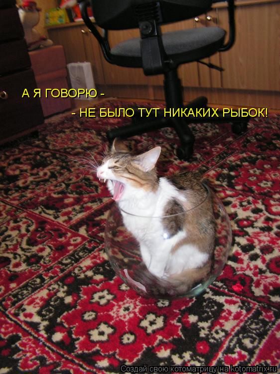 Котоматрица: А Я ГОВОРЮ -   - НЕ БЫЛО ТУТ НИКАКИХ РЫБОК!