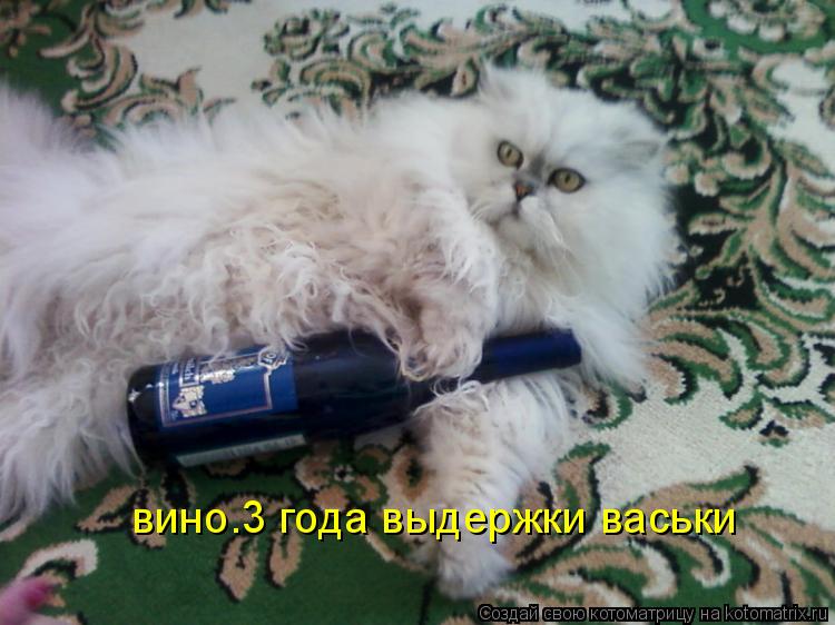 Котоматрица: вино.3 года выдержки васьки