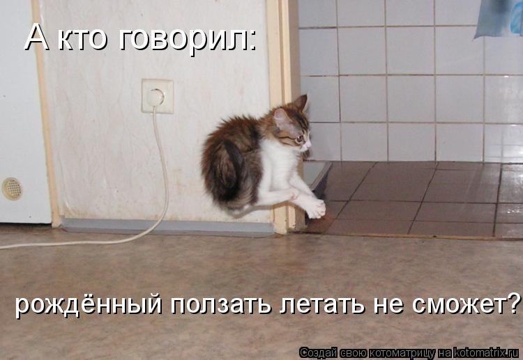 Котоматрица: А кто говорил: рождённый ползать летать не сможет?