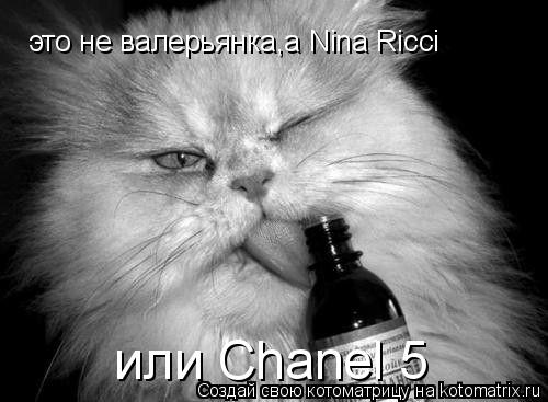 Котоматрица: это не валерьянка,а Nina Ricci или Chanel 5