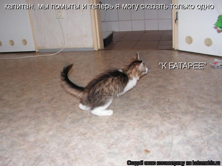 капитан, мы помыты и теперь я могу сказать только одно "К БАТАРЕЕ"... Котоматрица: капитан, мы помыты и теперь я могу сказать только одно "К БАТАРЕЕ"