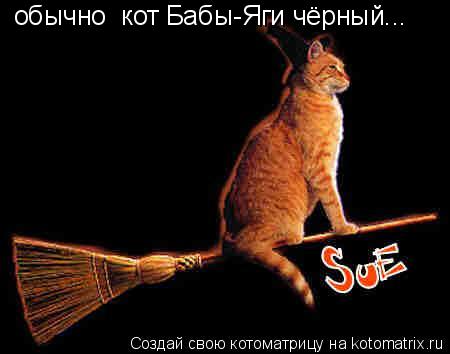 обычно кот Бабы-Яги чёрный...... Котоматрица: обычно кот Бабы-Яги чёрный...