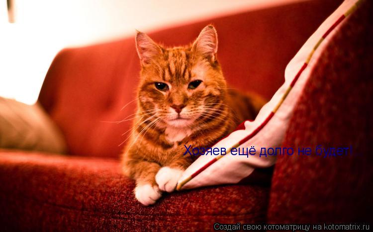 Хозяев ещё долго не будет!...... Котоматрица: Хозяев ещё долго не будет!...