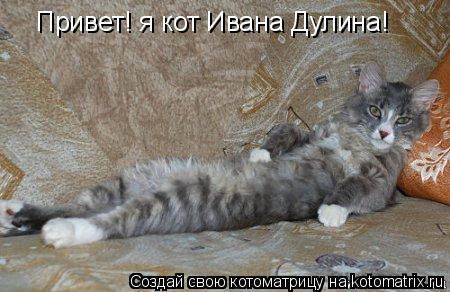 Котоматрица: Привет! я кот Ивана Дулина!