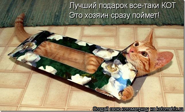 Лучший подарок все-таки КОТ Это хозяин сразу поймет!... Котоматрица: Лучший подарок все-таки КОТ Это хозяин сразу поймет!