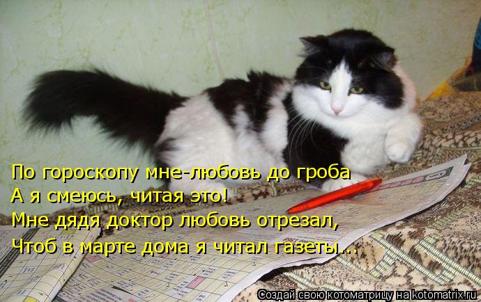 Котоматрица: По гороскопу мне-любовь до гроба А я смеюсь, читая это! Мне дядя доктор любовь отрезал, Чтоб в марте дома я читал газеты...
