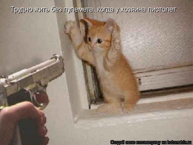 Котоматрица: Трудно жить без пулемета, когда у хозяина пистолет.