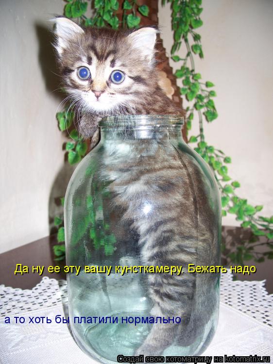 Котоматрица: Да ну ее эту вашу кунсткамеру. Бежать надо а то хоть бы платили нормально