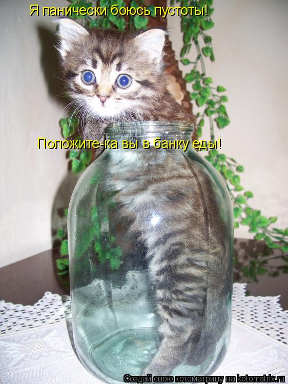 Котоматрица: Я панически боюсь пустоты! Положите-ка вы в банку еды!