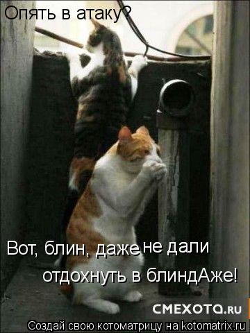 Котоматрица: Опять в атаку? Вот, блин, даже не дали не дали отдохнуть в блиндАже!