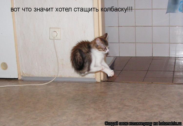 Котоматрица: вот что значит хотел стащить колбаску!!!
