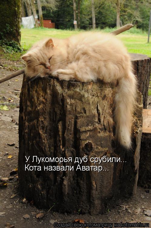 Стих про срубленный дуб Стих про срубленный дуб