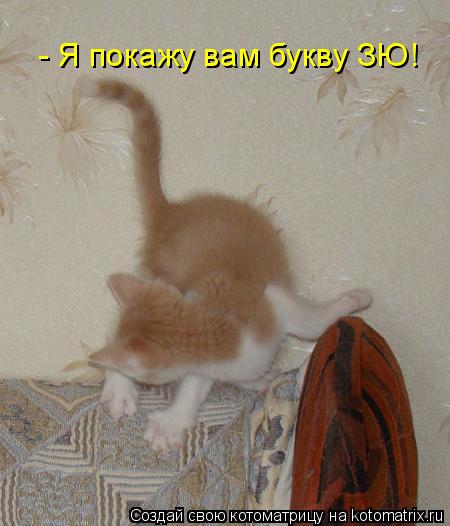 Котоматрица: - Я покажу вам букву ЗЮ!
