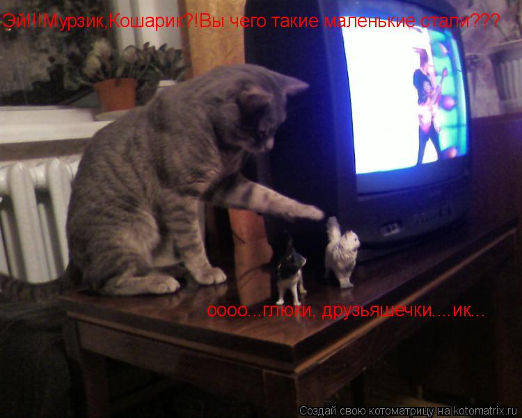 Котоматрица: Эй!!!Мурзик,Кошарик?!Вы чего такие маленькие стали??? оооо...глюки, друзьяшечки....ик...