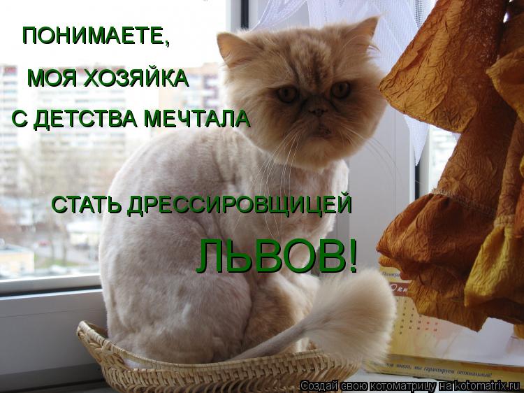 Котоматрица: ПОНИМАЕТЕ,  МОЯ ХОЗЯЙКА  С ДЕТСТВА МЕЧТАЛА СТАТЬ ДРЕССИРОВЩИЦЕЙ ЛЬВОВ!