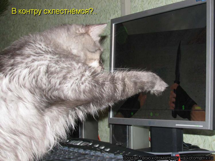 Котоматрица: В контру схлестнёмся?..