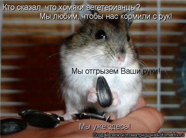 Котоматрица: Кто сказал, что хомяки вегетерианцы? Мы любим, чтобы нас кормили с рук! Мы отгрызем Ваши руки! Мы уже здесь!
