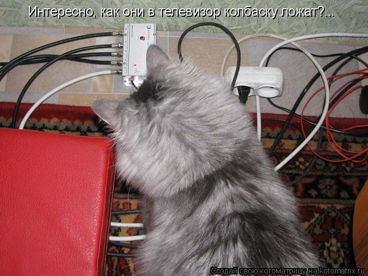 Котоматрица: Интересно, как они в телевизор колбаску ложат?...