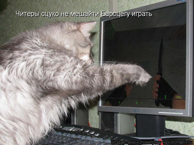 Котоматрица: Читеры сцуко не мешайти Барсцегу играть