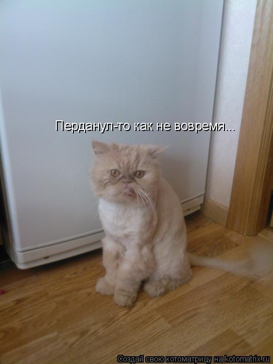 Котоматрица: Перданул-то как не вовремя...