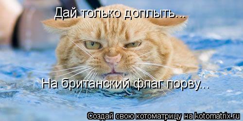 Котоматрица: Дай только доплыть... На британский флаг порву...