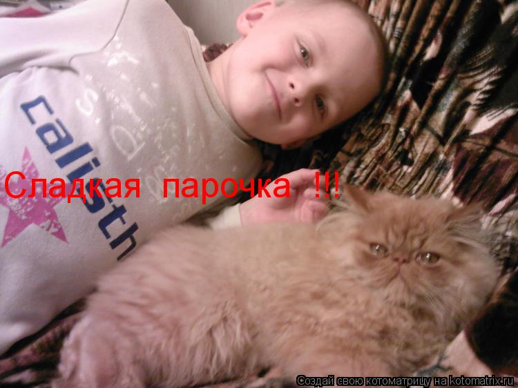 Котоматрица: Сладкая  парочка  !!!