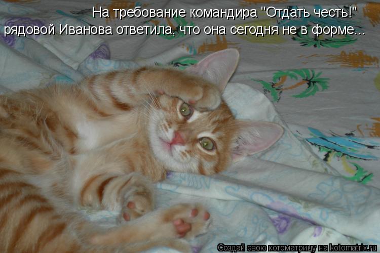 Котоматрица: На требование командира "Отдать честь!" рядовой Иванова ответила, что она сегодня не в форме...