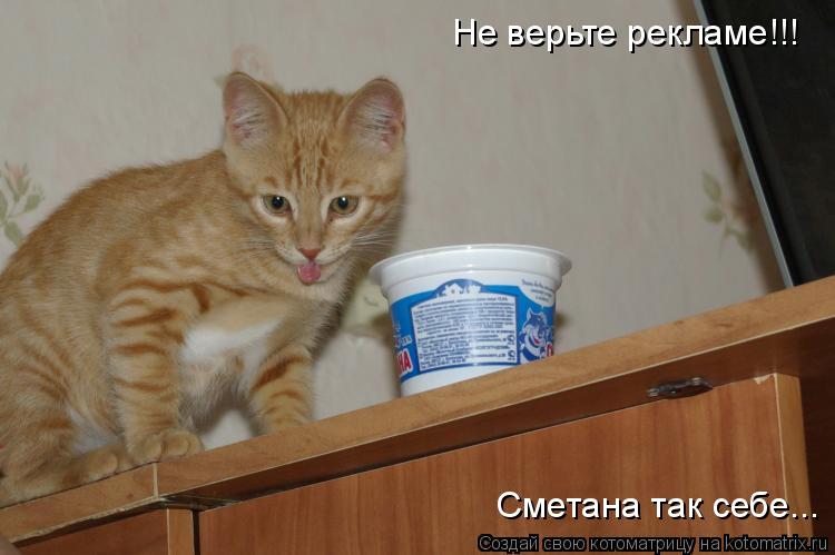 Котоматрица: Не верьте рекламе!!! Сметана так себе...