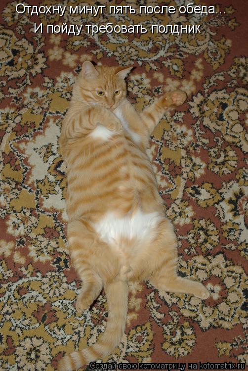 Котоматрица: Отдохну минут пять после обеда... И пойду требовать полдник